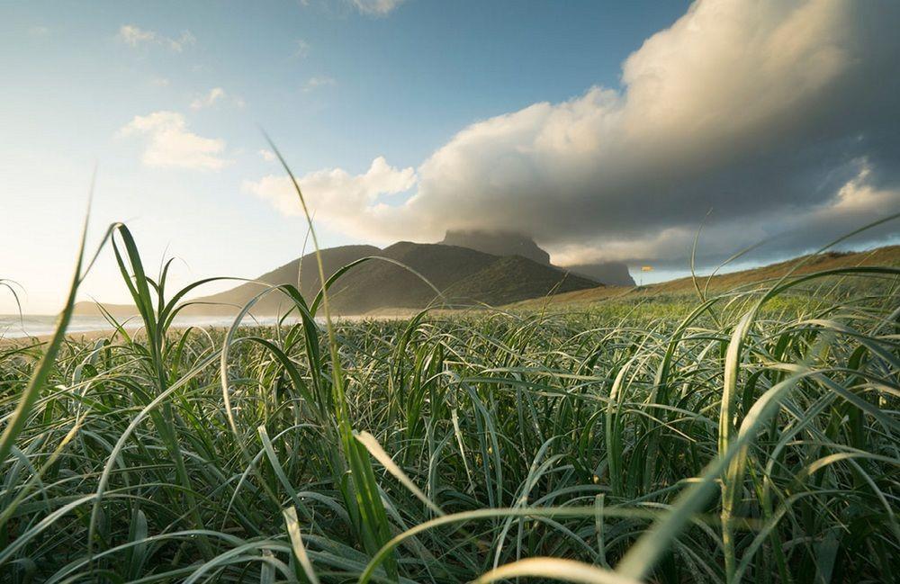 Arajilla Retreat Villa Lord Howe Island Екстериор снимка